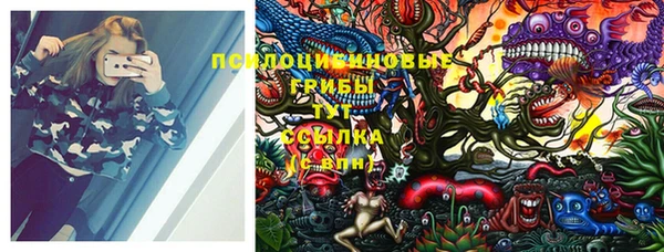 эйфоретик Абинск